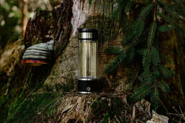Portable Lamp Go